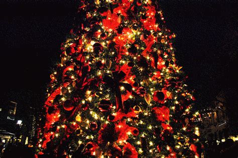 Christmas GIF - Find & Share on GIPHY Hello friends, get ready to celebrate christmas.