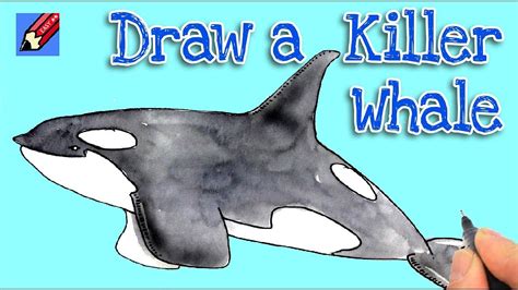 How To Draw A Killer Whale Real Easy Youtube