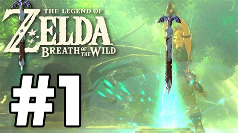 We Got The Master Sword The Legend Of Zelda Breath Of The Wild