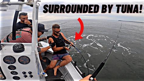 Tuna Busting Up Everywhere Spinning And Trolling Tuna And Mackeral Nsw Youtube
