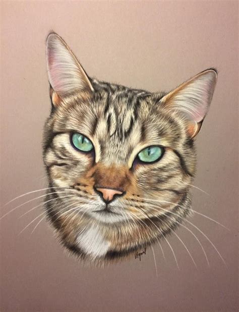 A Drawing Of A Cats Face With Blue Eyes And Long Whiskers