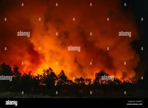 Forest Fire At Night Wall Of Fire And Smoke Dry Season Climate