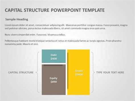 Shareholder Structure Powerpoint Template