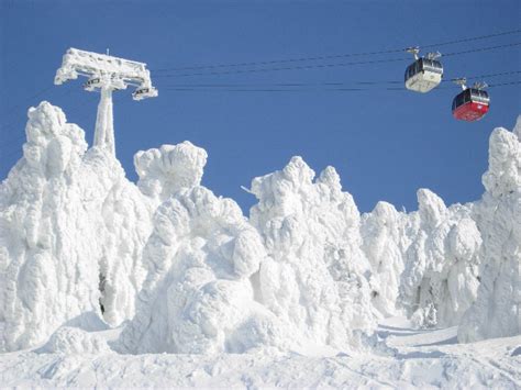 Japan Snow Monsters Around The World Weird