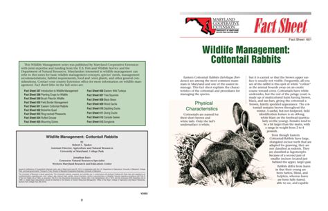 Wildlife Management Cottontail Rabbits Fact Sheet 601