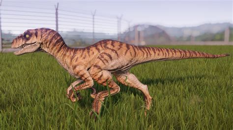 Velociraptor Jurassic World Evolution Wiki Fandom Jurassic Park World Jurassic World