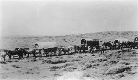Wagon Train Is A Group Of Covered Wagons That Went West The Wagons