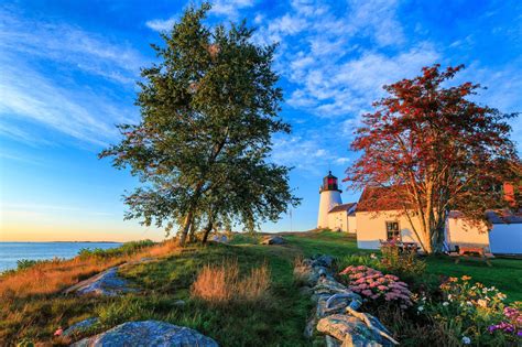 Lighthouse And Flowers Wallpapers Wallpaper Cave