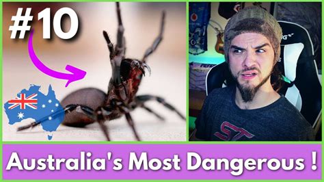 10 Most Dangerous Animals In Australia American Reacts Youtube