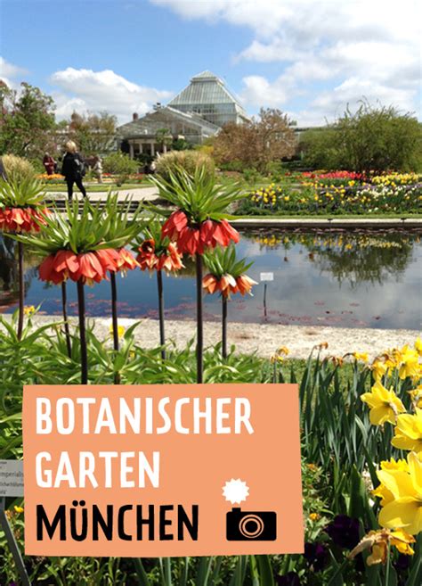 Egal ob münchner oder tourist, der botanische garten ist ein muss. Ein Stück vom Glück - Botanischer Garten München
