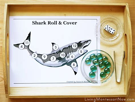 Free Shark Printables And Montessori Inspired Shark Activities