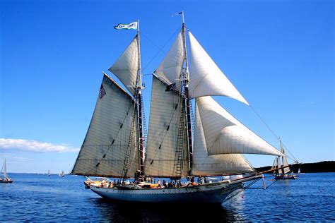 Schooner Mary Day Photograph By Colleen Shaw Gleason