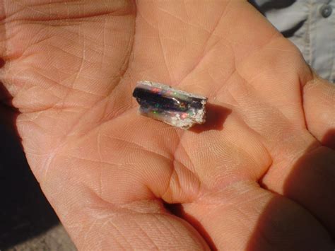 Bonanza Opal Mines The Brightest Opals In The World