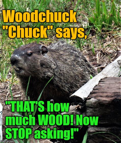 Lista 103 Foto How Much Wood Would A Woodchuck Chuck If A Woodchuck Could Chuck Wood Mirada