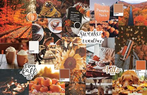 Download Cute Autumn Wallpaper