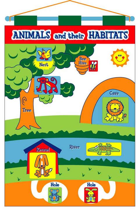 Animals & Habitats