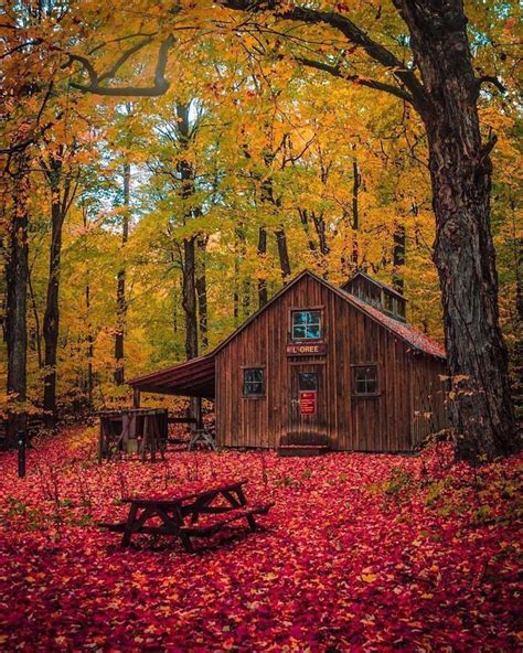 Fall Hideaway Ecological House Log Cabin Exterior Cabins In The Woods