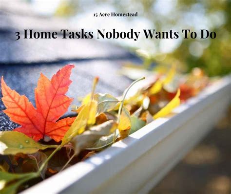 3 Home Tasks Nobody Wants To Do 15 Acre Homestead