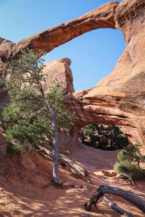 Top 15 Most Spectacular Arches In Arches National Park The National