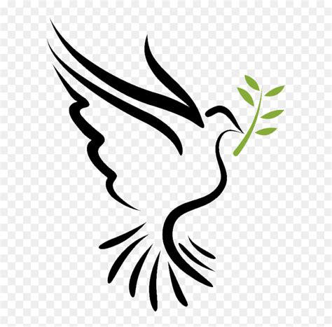 Bible Doves As Symbols Holy Spirit Columbidae Holy Spirit Dove