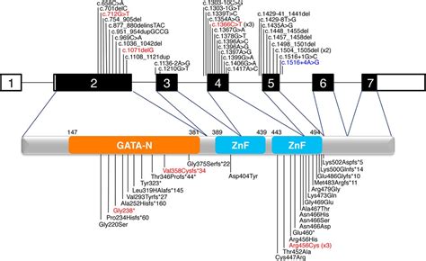 Whole Exome Sequencing Identifies De Novo Mutations In Gata6 Associated
