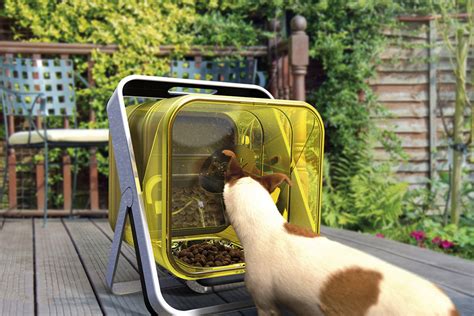 A Protected Outdoor Dog Feeder That Safeguards Your Pet Against