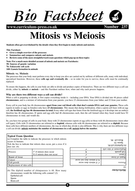 Solution 237 Mitosis Vs Meiosis Studypool