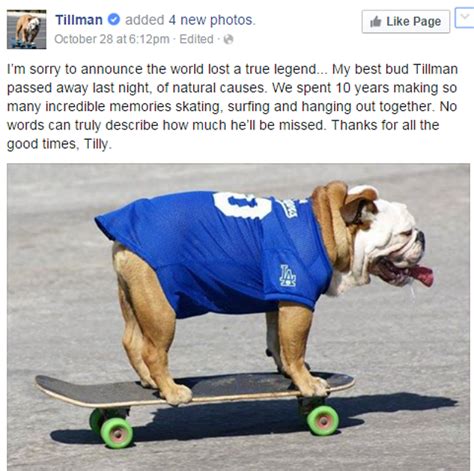 What to say when a dog passes away. Tillman the Record-Breaking Skateboarding Dog Passes Away