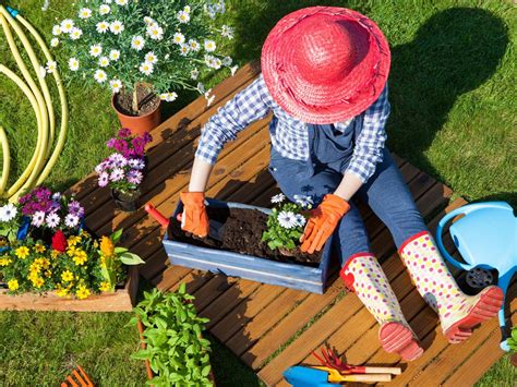 Gardening Tips To Prevent Injuries Perea Clinic
