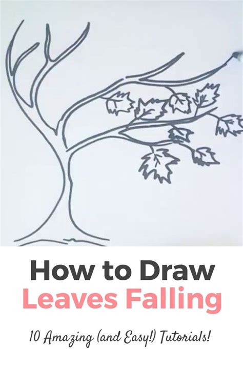 How To Draw Leaves Falling In 10 Amazing And Easy Steps