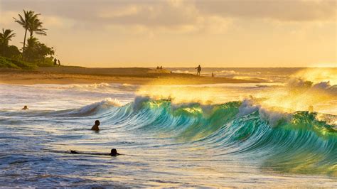Best Beaches In Honolulu Lonely Planet