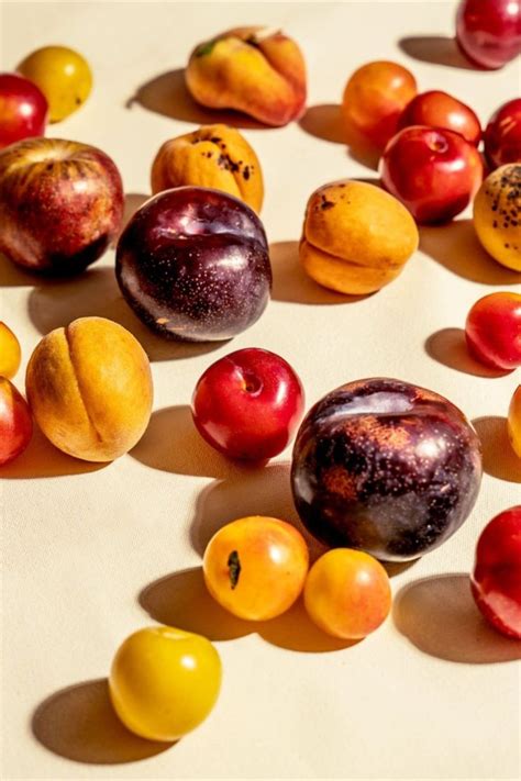 11 Best Stone Fruit Recipes For Summer Stone Fruit Fruit Food Saver