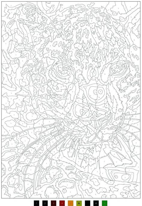 Coloriage Mystere Disney Tome 3 Inspirational Coloriages Mysteres