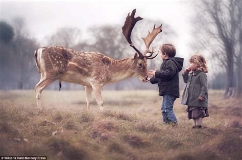 Deers are attracted to foods or minerals such as salt, apples, carrots, leafy greens and they love many vegetables. Magical photo shows wild deer tenderly taking food from ...