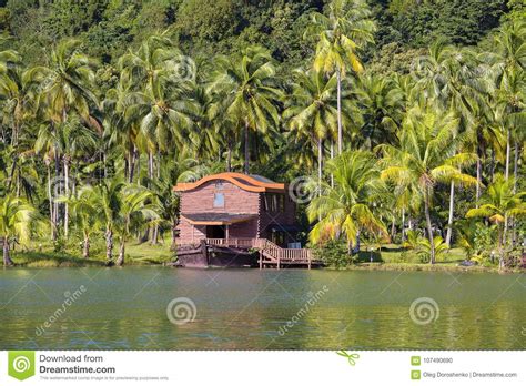 Beautiful Tropical Place With Green Coconut Palm Trees And