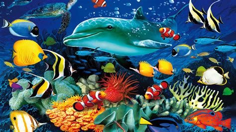 Tropical Fish Underwater Sea Ocean Sealife Wallpaper
