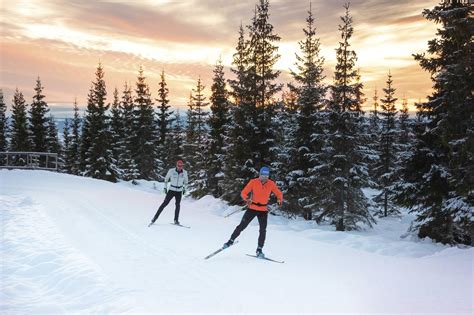 Best Cross-Country Skis and How to Choose Them | GearJunkie