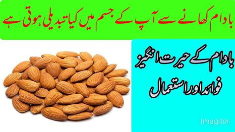 Benefit Of Almond Badam Khane K Faidy بادام کھانے کے حیرت انگیز