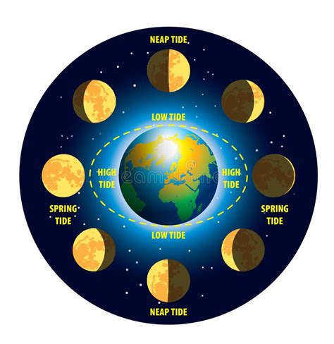 How The Moon Phases And Tides Affect The Oceans Star