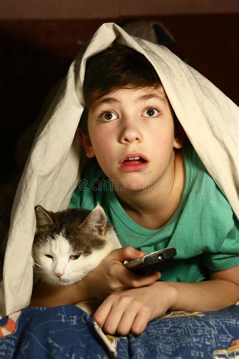 The horror of cats works on more than one level. Boy With Cat Watch Horror Movie Stock Photo - Image of ...