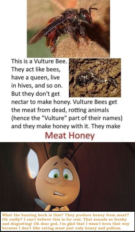 Willy Reacts On The Info About Vulture Bees Meme Maya The Bee Photo
