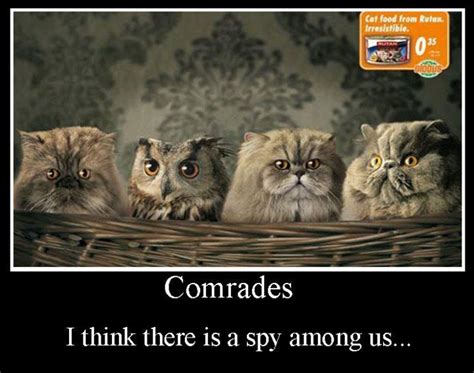 Comrades I Think There Is A Spy Among Us Cute