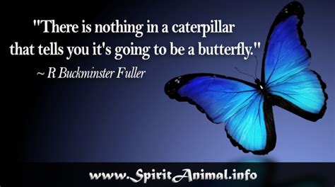 Butterfly Quotes Spirit Animal Info