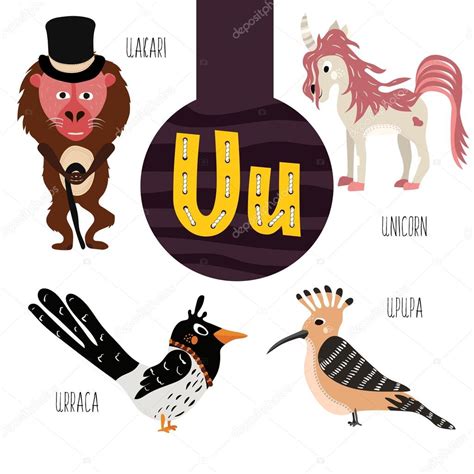 Animal With Letter U List Of Animals That Start With Letter U On