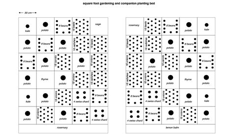 How to build a square foot garden? Second bed, different crops according...