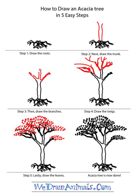 Https://wstravely.com/draw/how To Draw A Acacia Tree