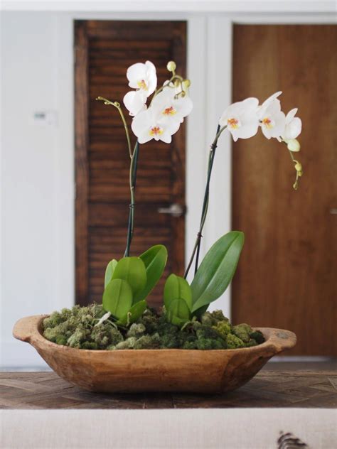 How To Potted Orchids Displayed In A Dough Bowl Orchids Orchid
