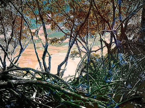 Stunning Mangrove Tree Painting Artwork For Sale On Fine Art Prints