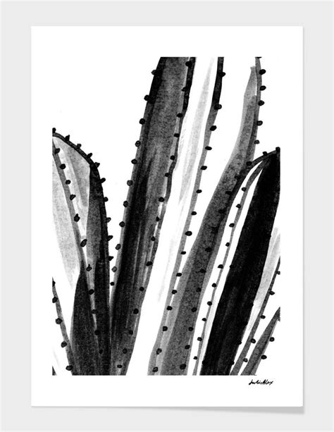 Minimal Cacti Art Print By Julie Alex Numbered Edition From 249