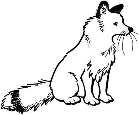 Add to favorites coloring pages (pack #1) junebugpaperco 5 out of 5 stars (55. Fox 2 coloring page